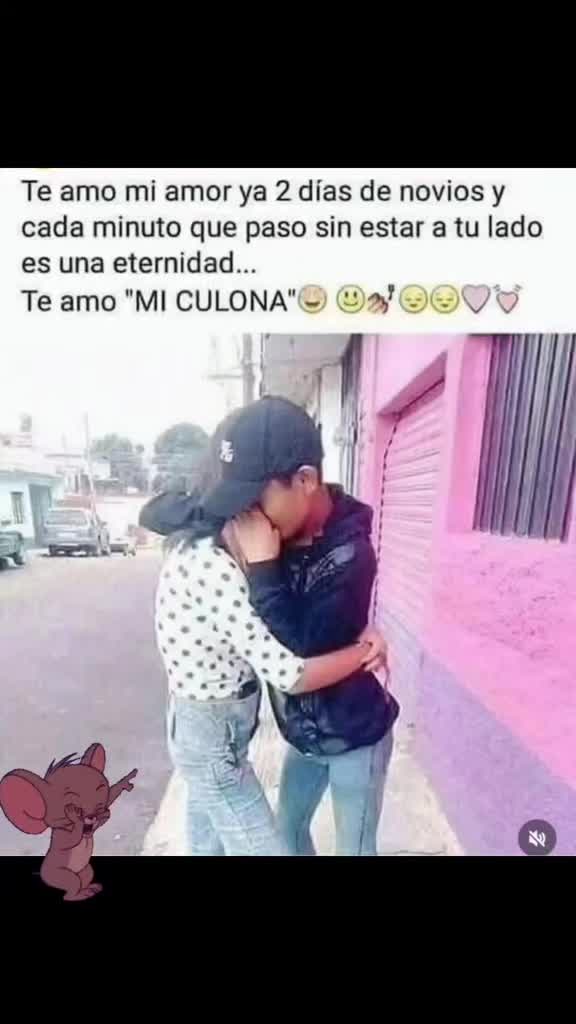 @el panda solitario