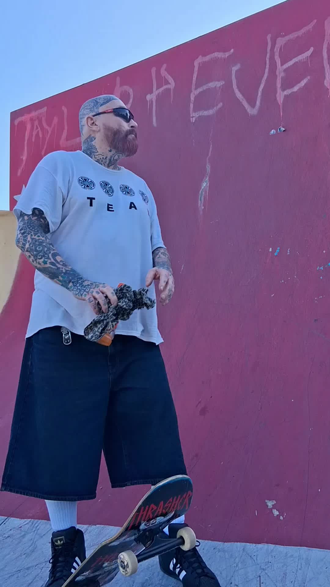 @sk8 mentor