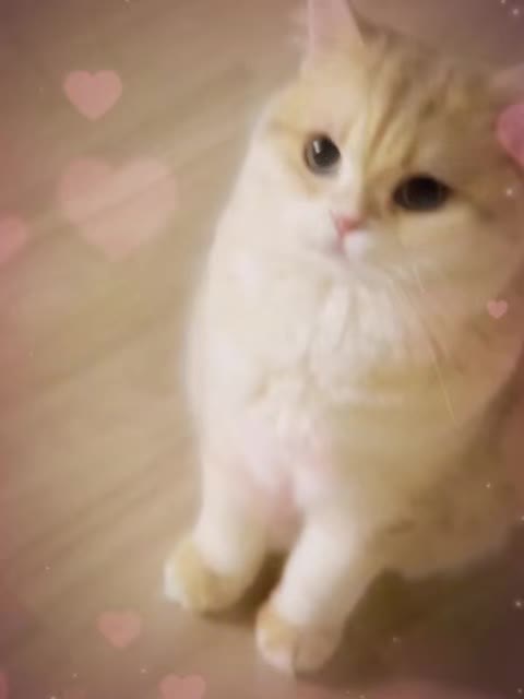 @VyyPilgrim72