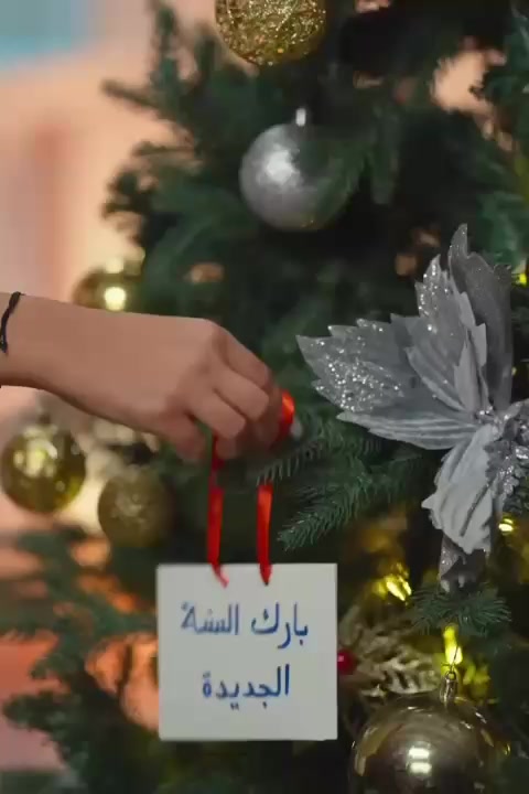 @Ramy Refaat