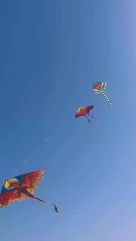 @𝘔𝘰𝘯𝘪𝘢 𝘈𝘷𝘰𝘭𝘪𝘰