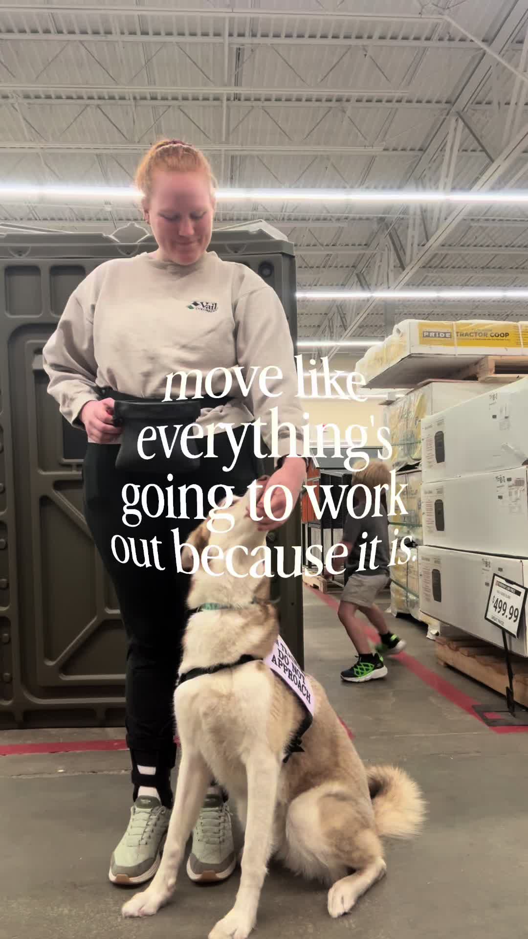 @potsiewithdogs