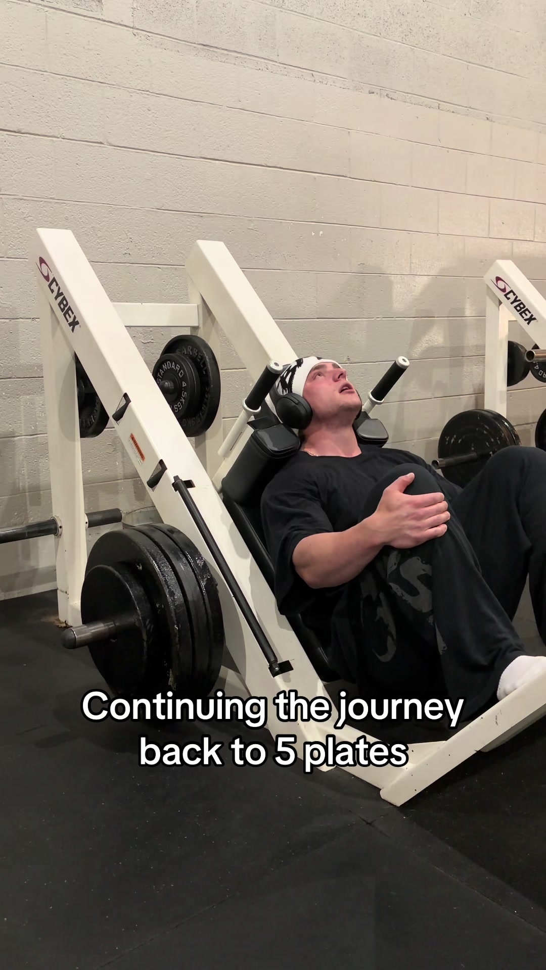 @AlexVanBfit2.0