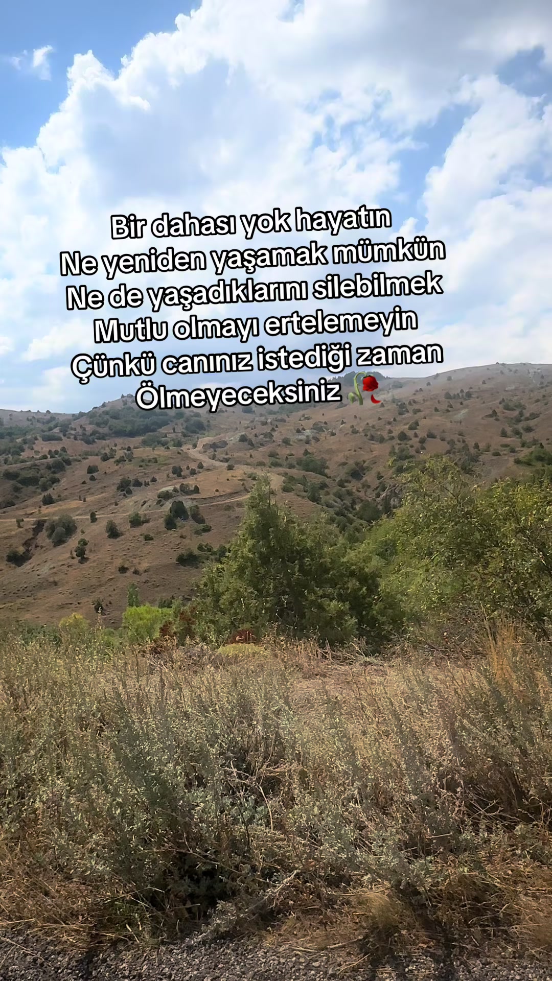 @58Tülay34