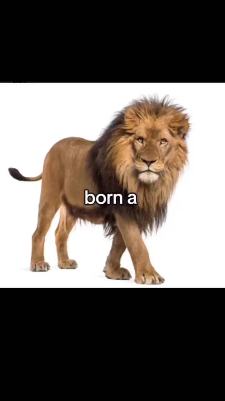 @K3👺
