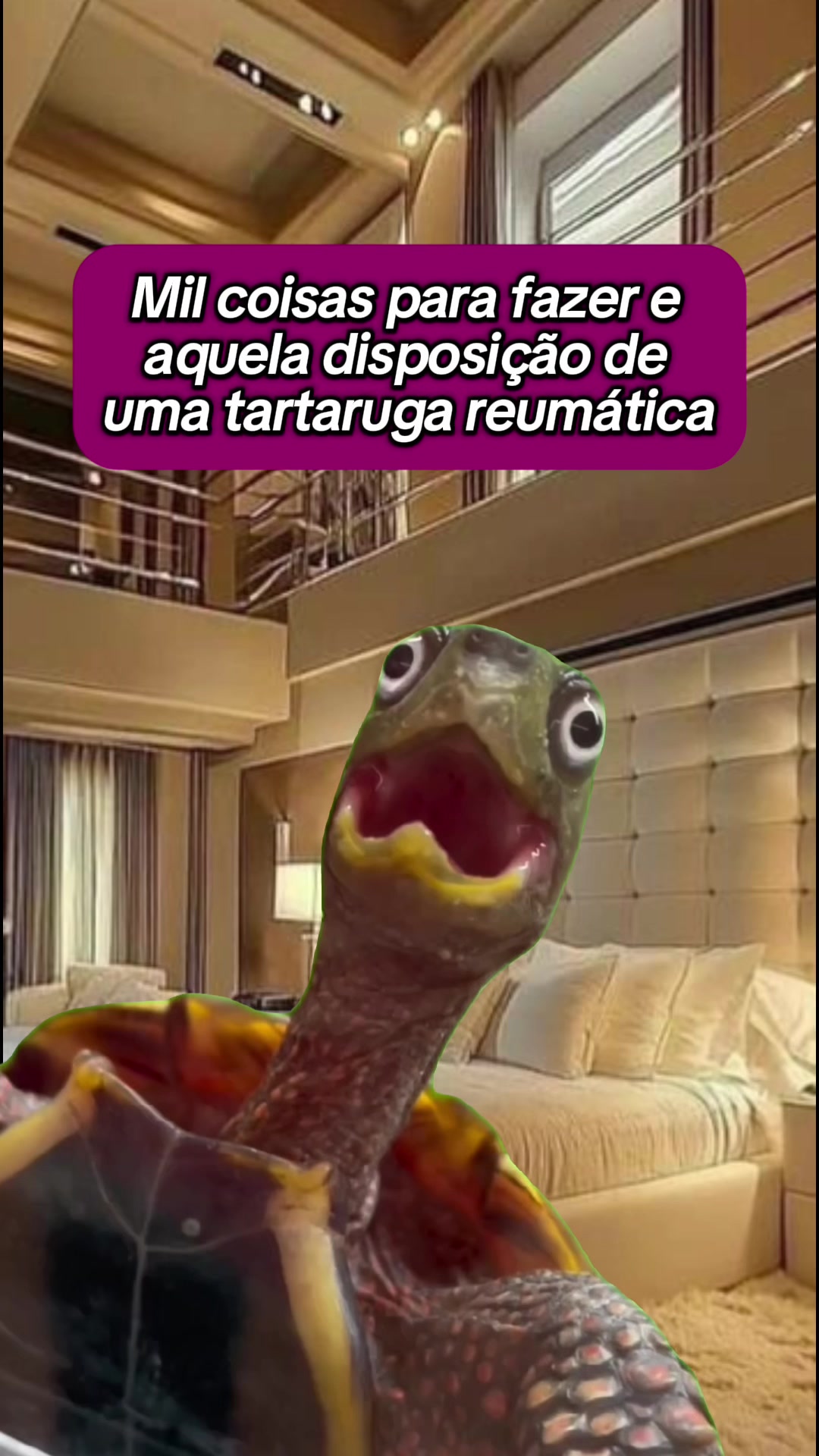 @tababadeira