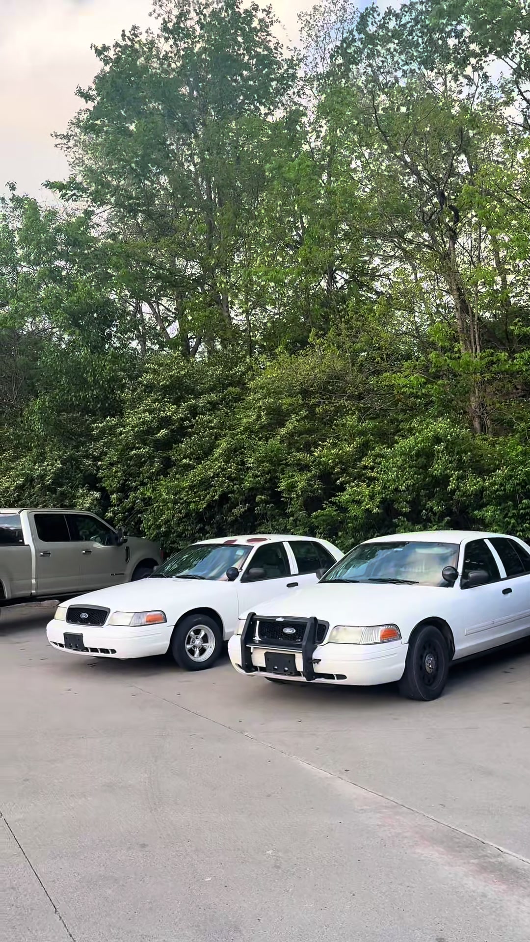 @Crown Vic