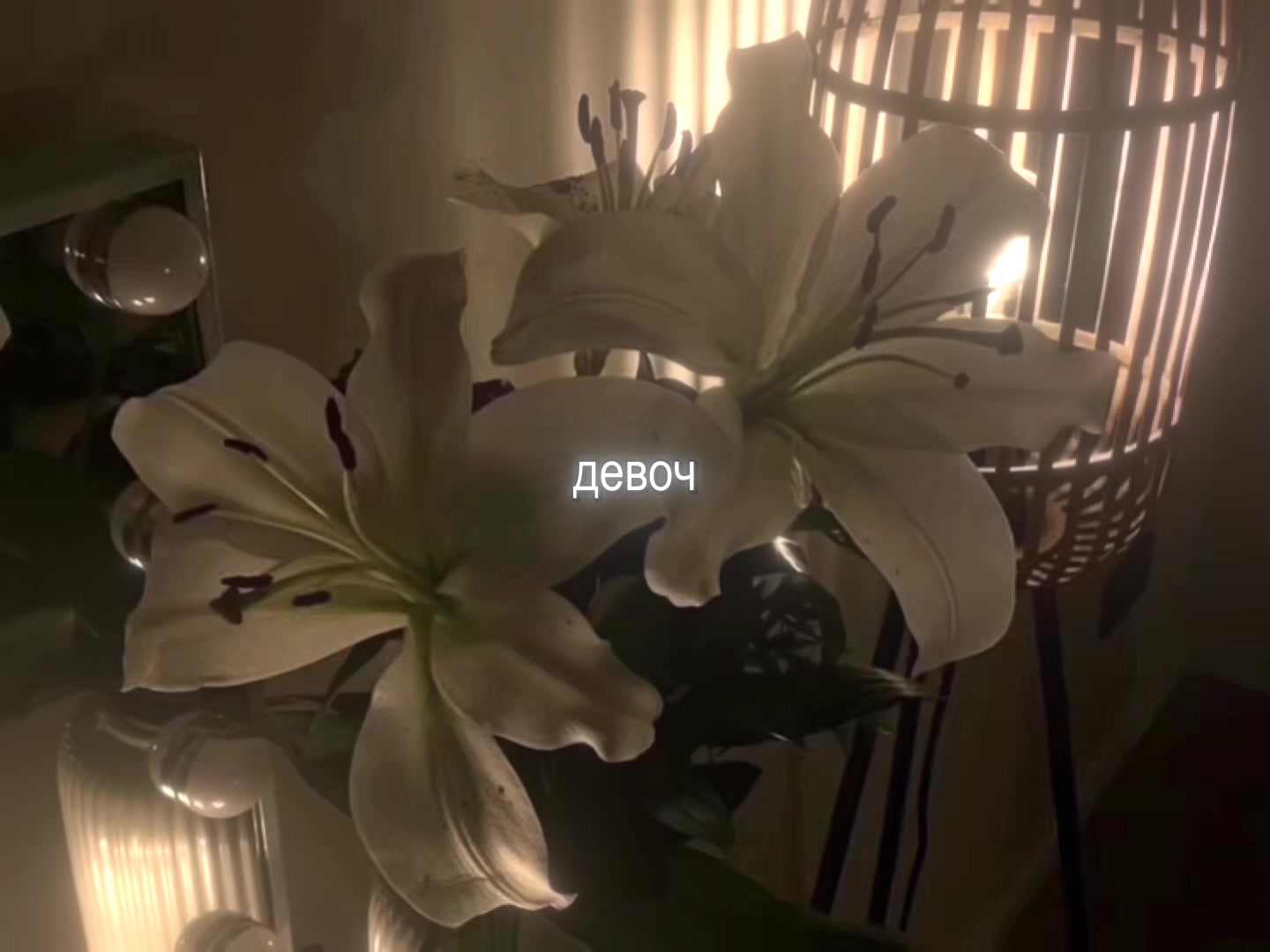 @звуки для липсингов