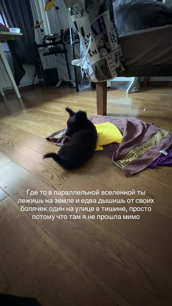 @dada