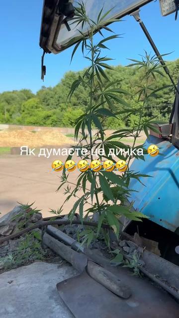 @Sasha🇺🇦John Deere🇺🇦🚜🌾🌽
