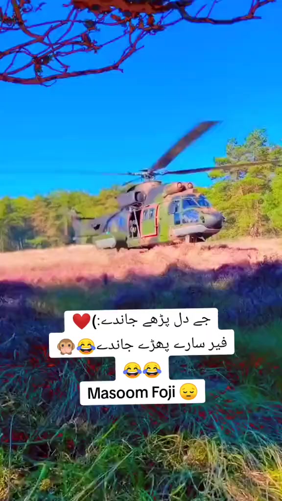 @โโโMasoom foji ๐โโโ