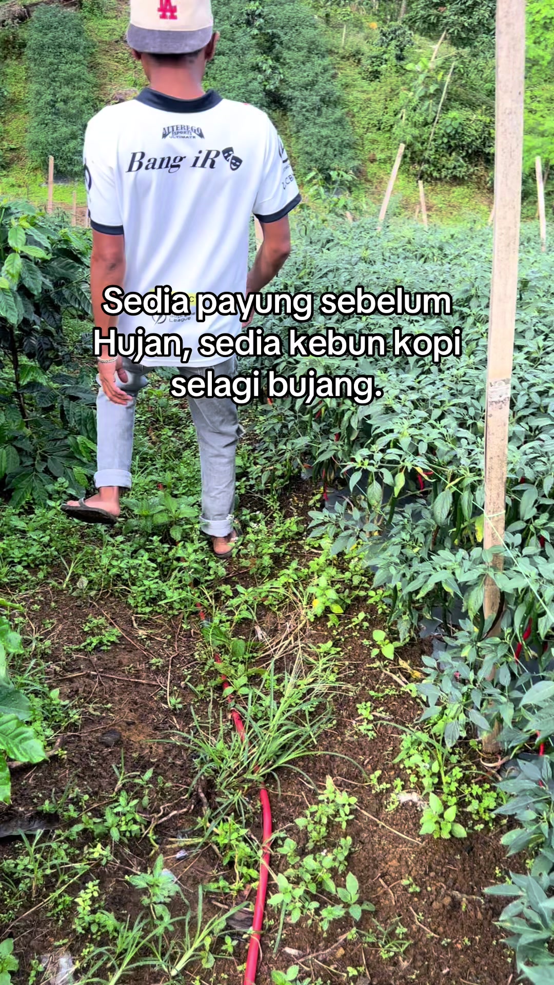 @๐ฉ๐๐๐ ๐๐น๐ญ