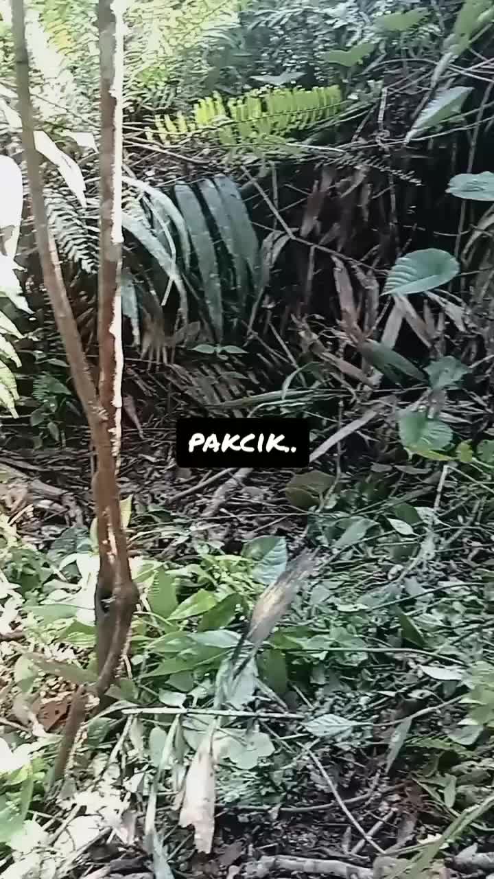 @Lem