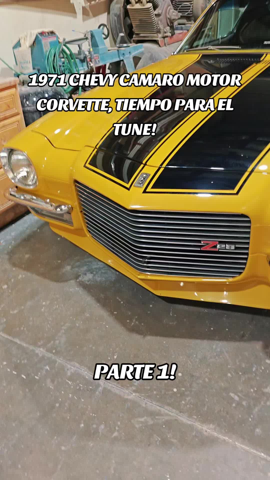 @#Leotune