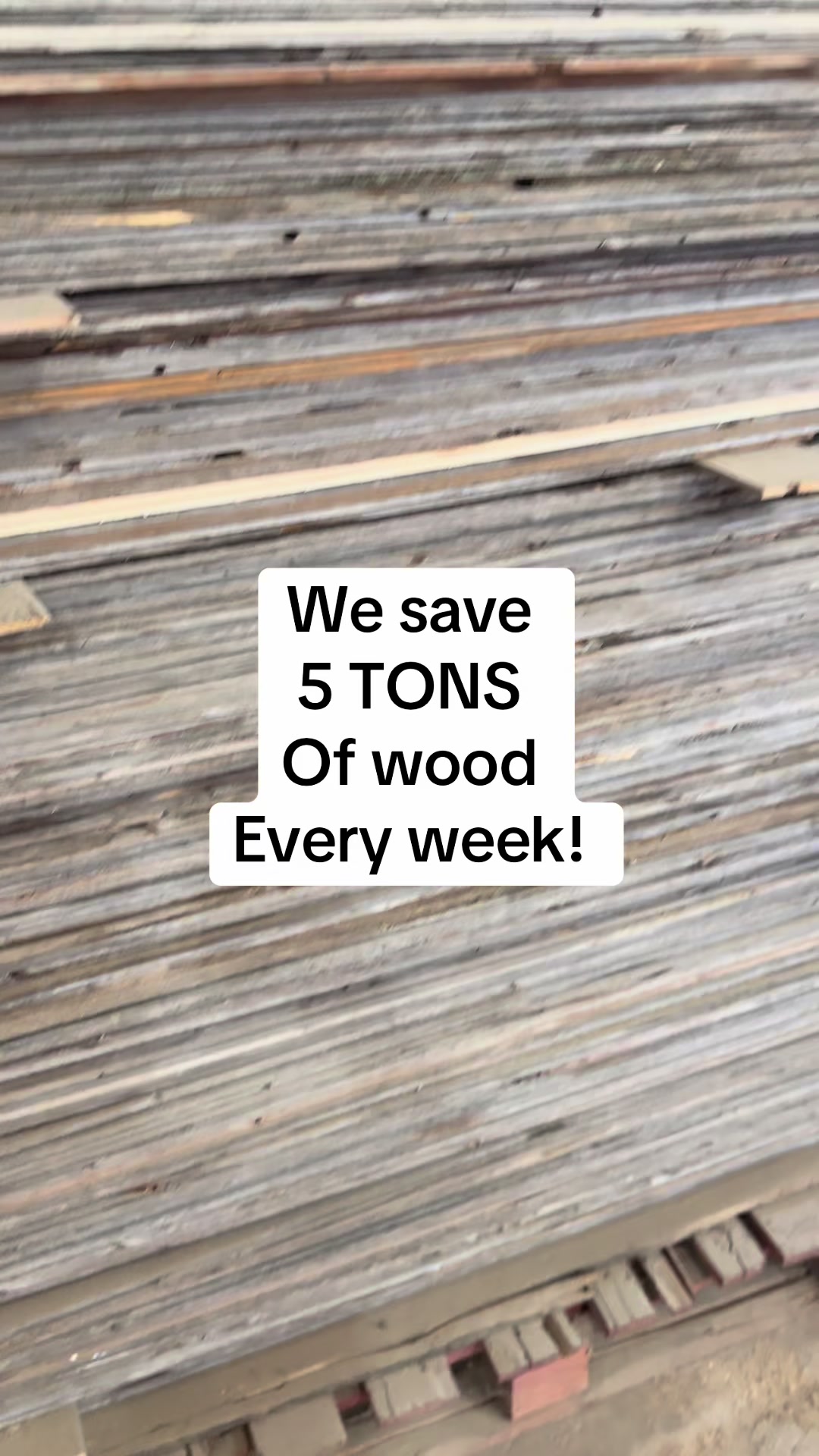 @Rockin Wood