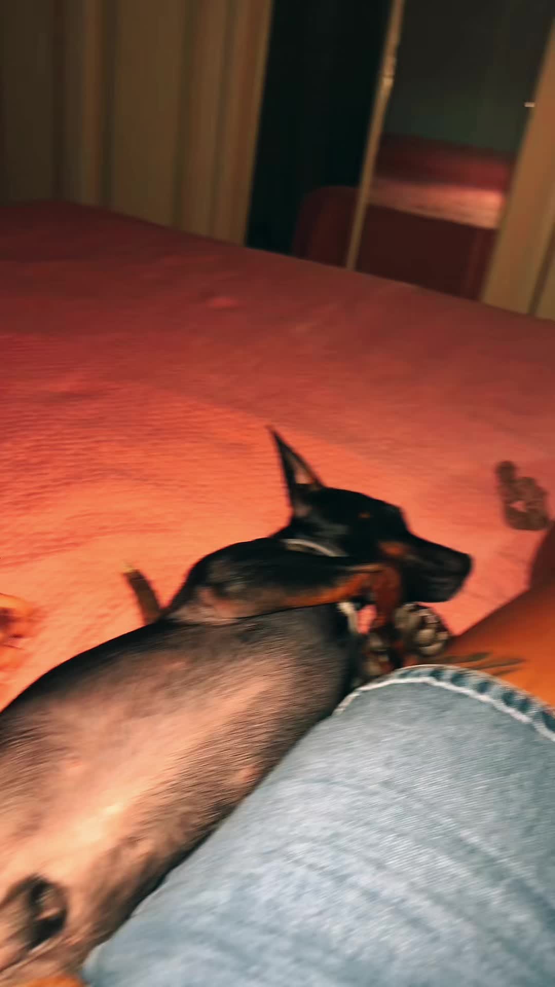 @🔥A MALESSERE