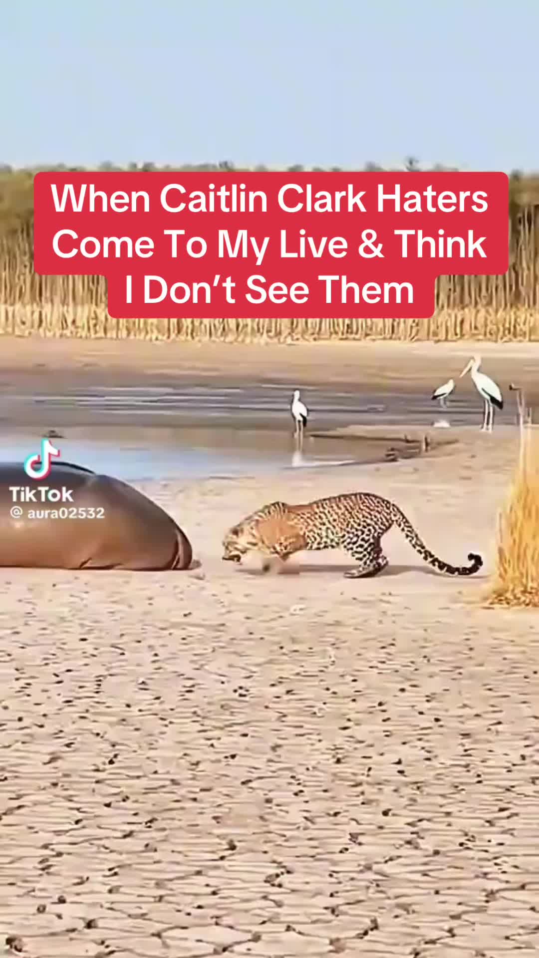 @RyanJarvisofficial