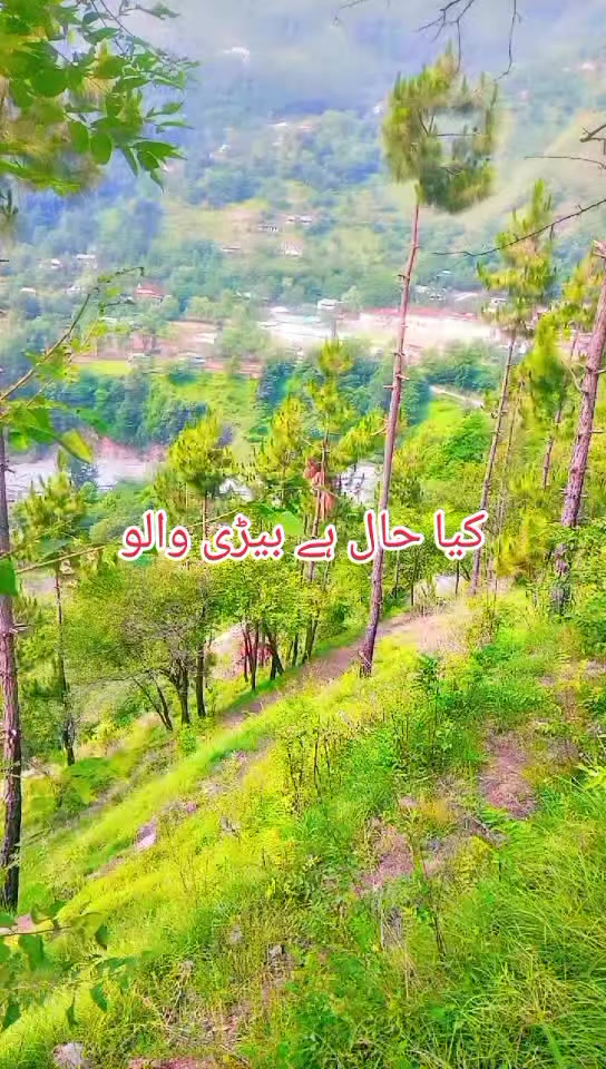 @انجان لڑکی