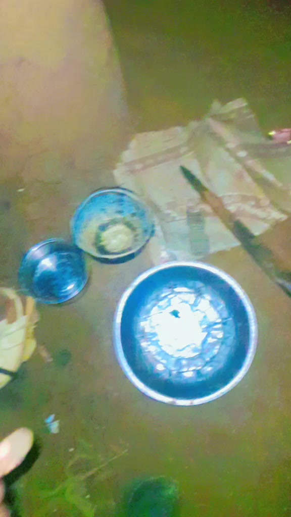 @qull fiijalala