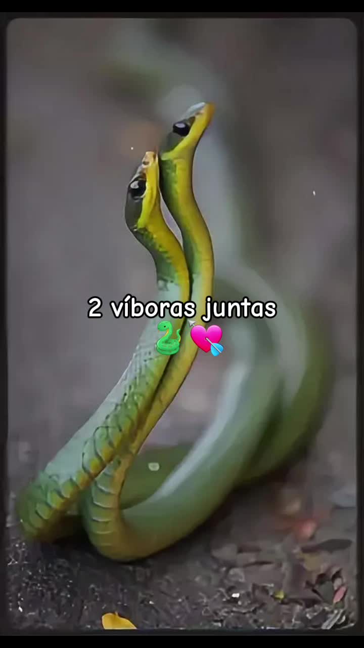 @Naileht😍
