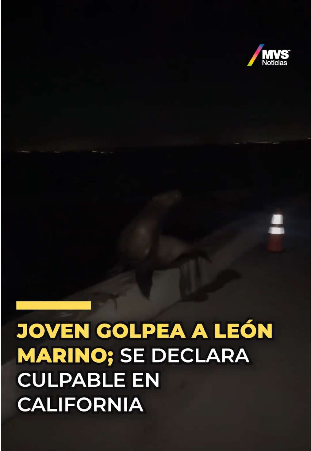 @MVSNOTICIAS