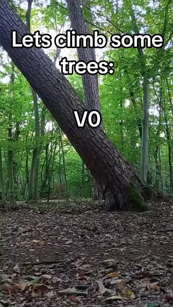 @usersofstalkerpeople