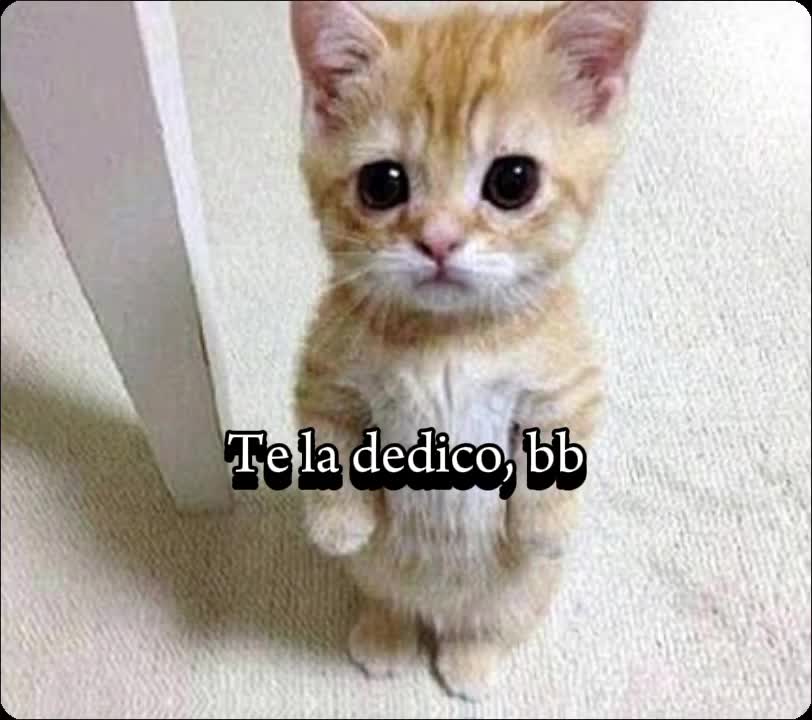 @☻︎☹︎❦︎