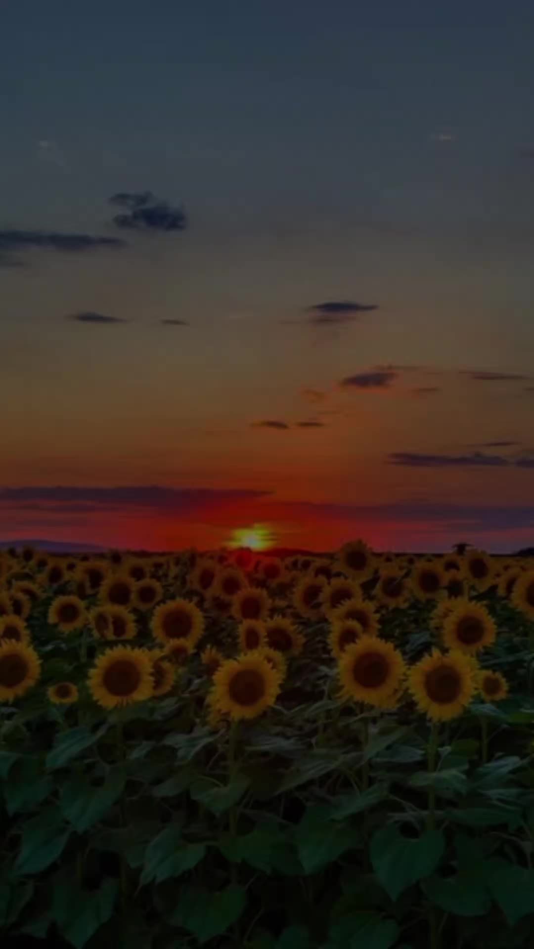 @𝚆𝙸-𝙵𝙸 𝙽𝚅𝙴𝚁𝙼𝙸𝚂𝚂