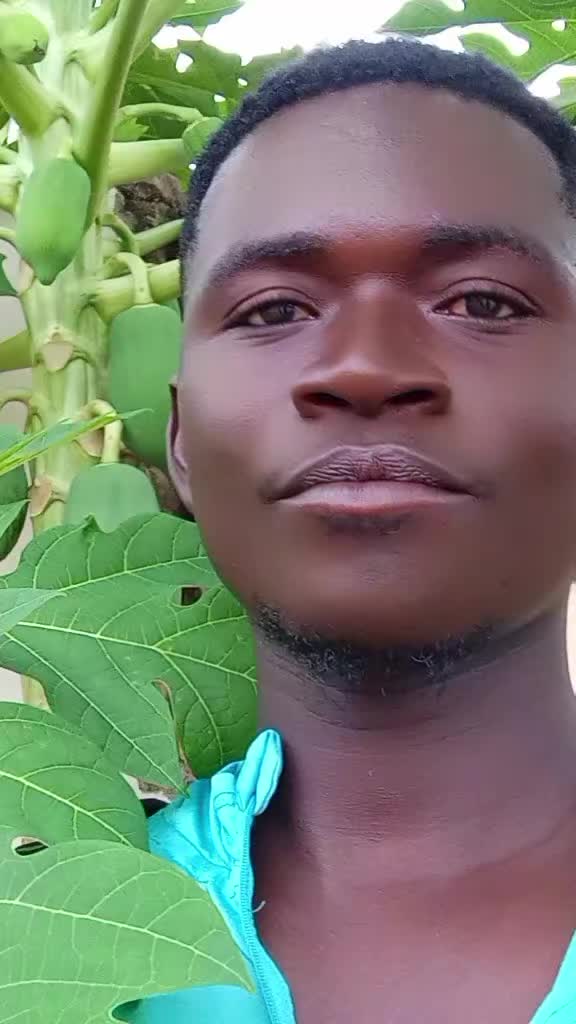 @Hard work official