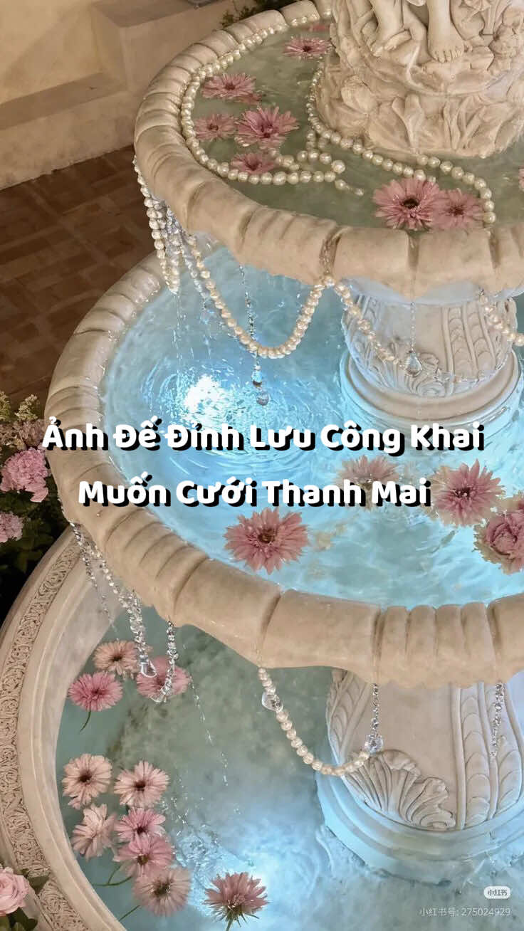 @Bạch Lang Audio🌷