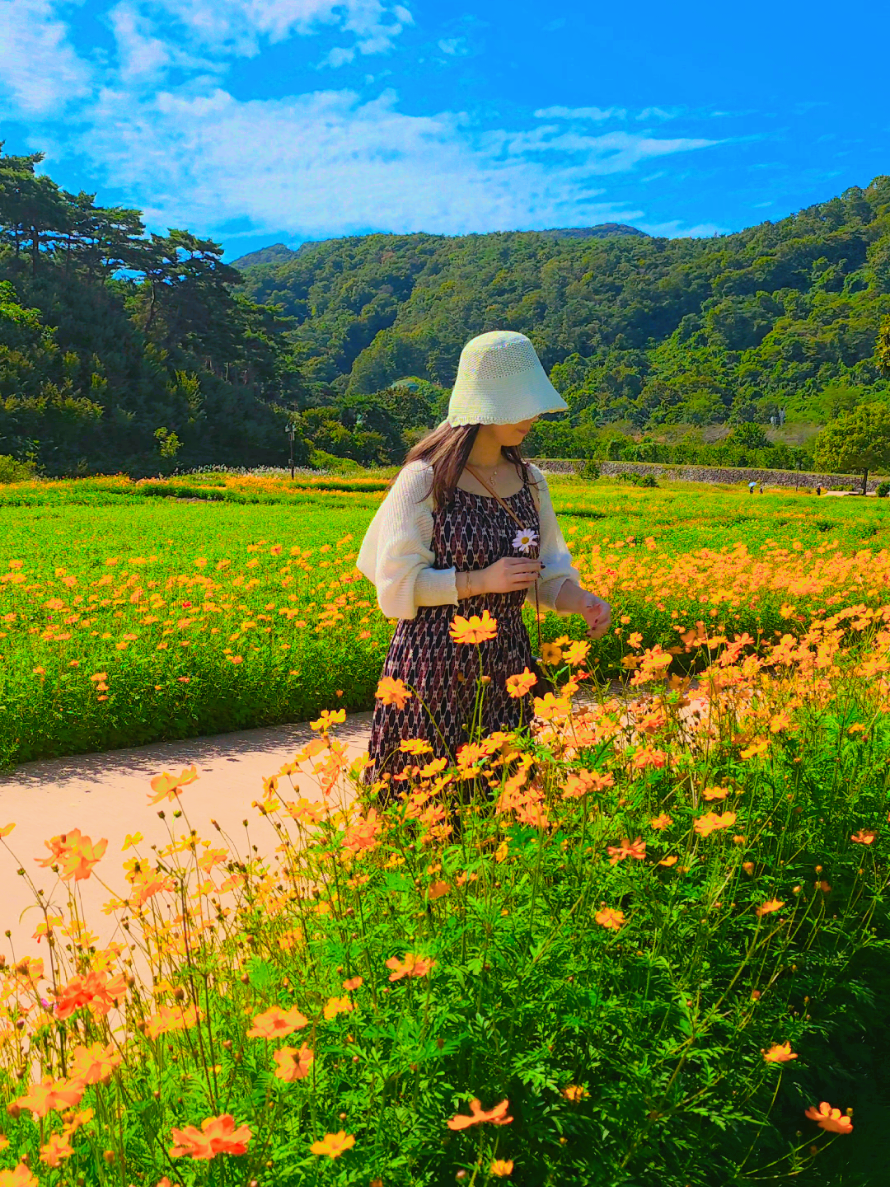 @비나보로 [Vinaboro]