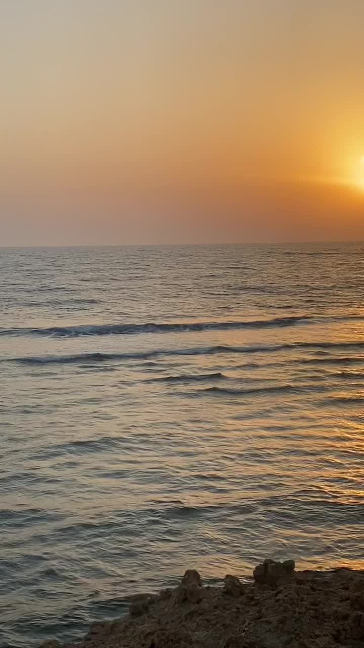 @Ali Rashid