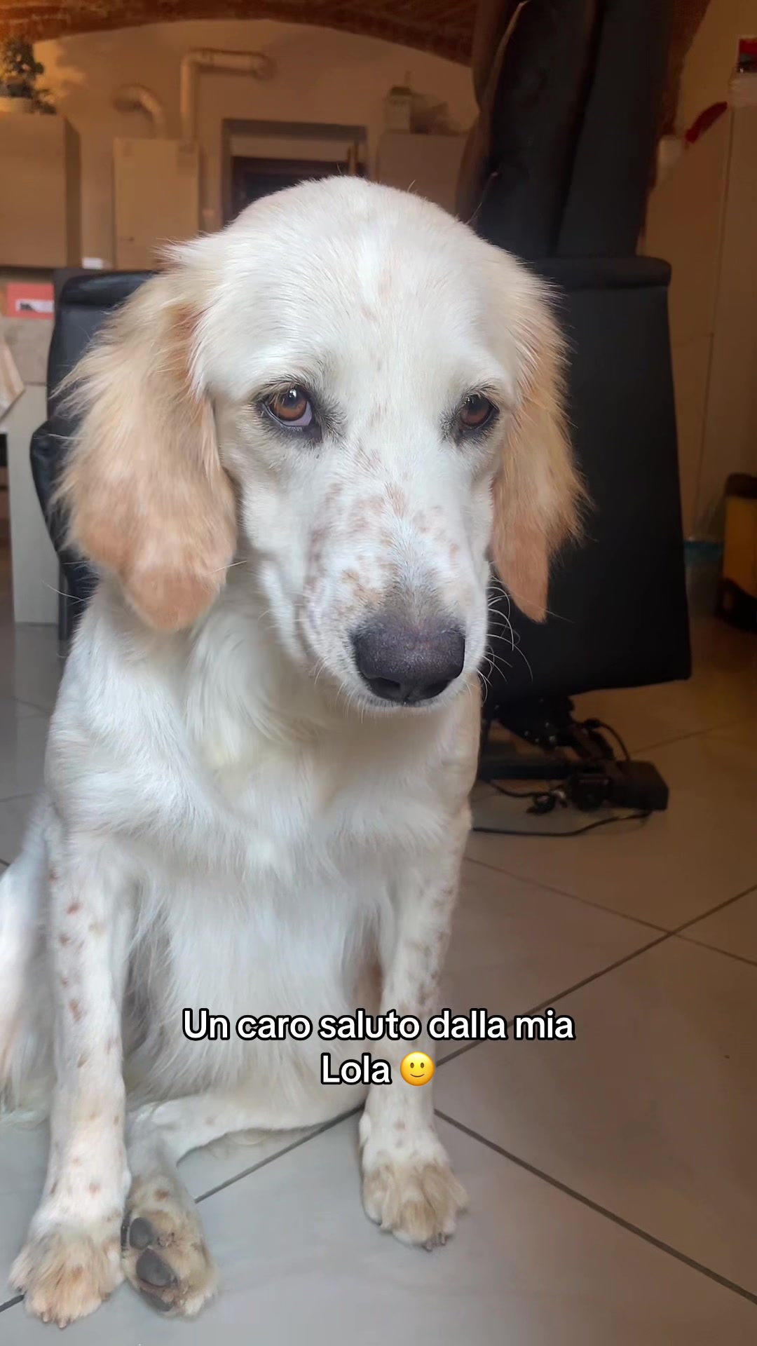@KIRA❤️LEYLA💙