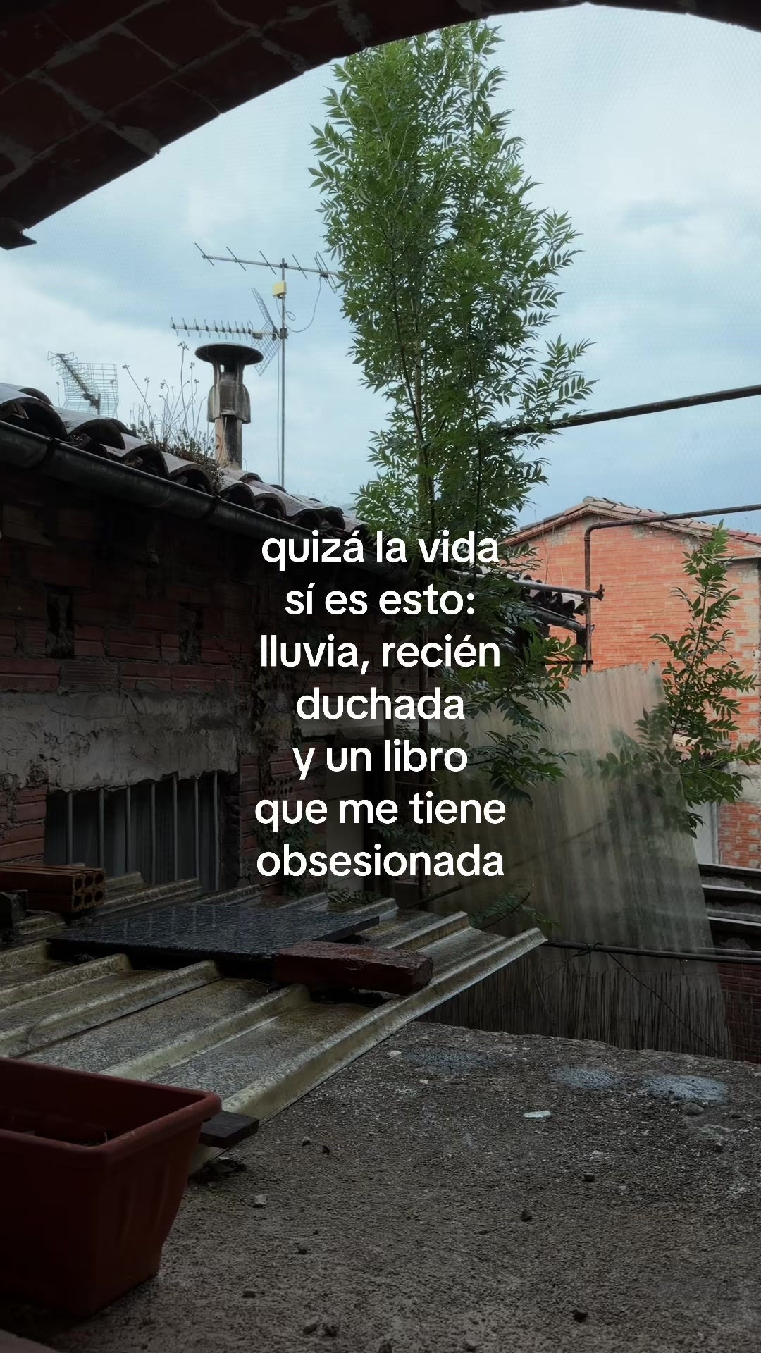 @andi