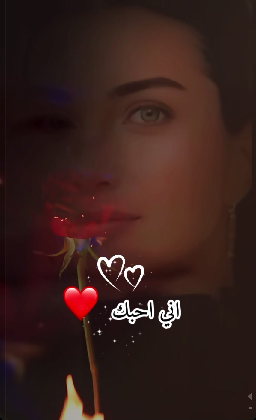 @❤️🌹👑Malaket Mardin👑🌹❤️