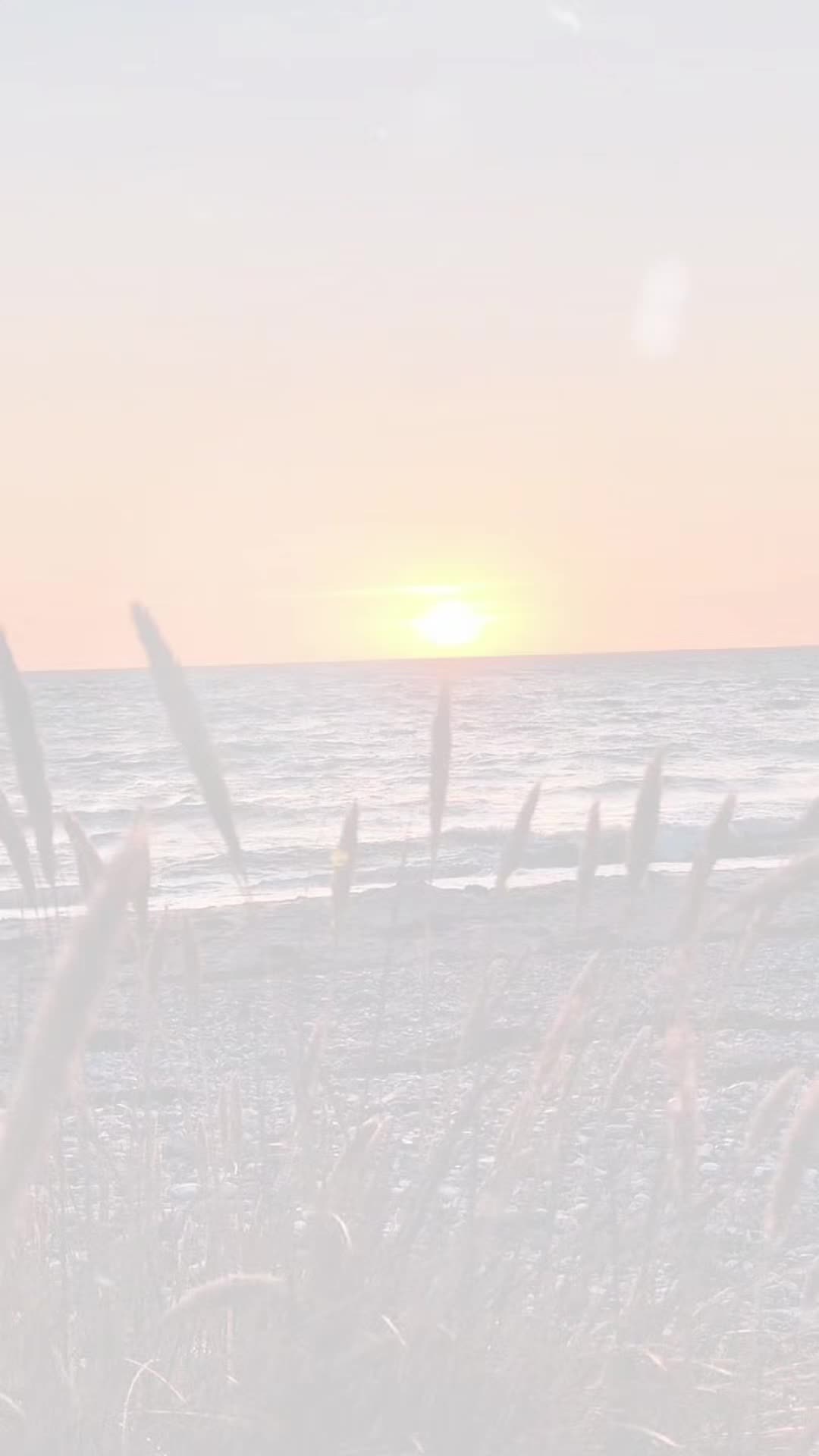 @𝕋𝕙𝕠𝕝𝕠𝕨 &reg;️