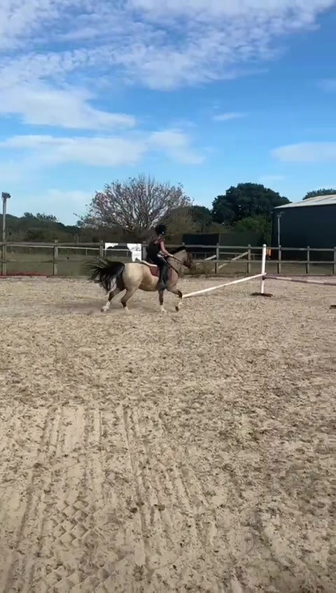 @tallulah 💥
