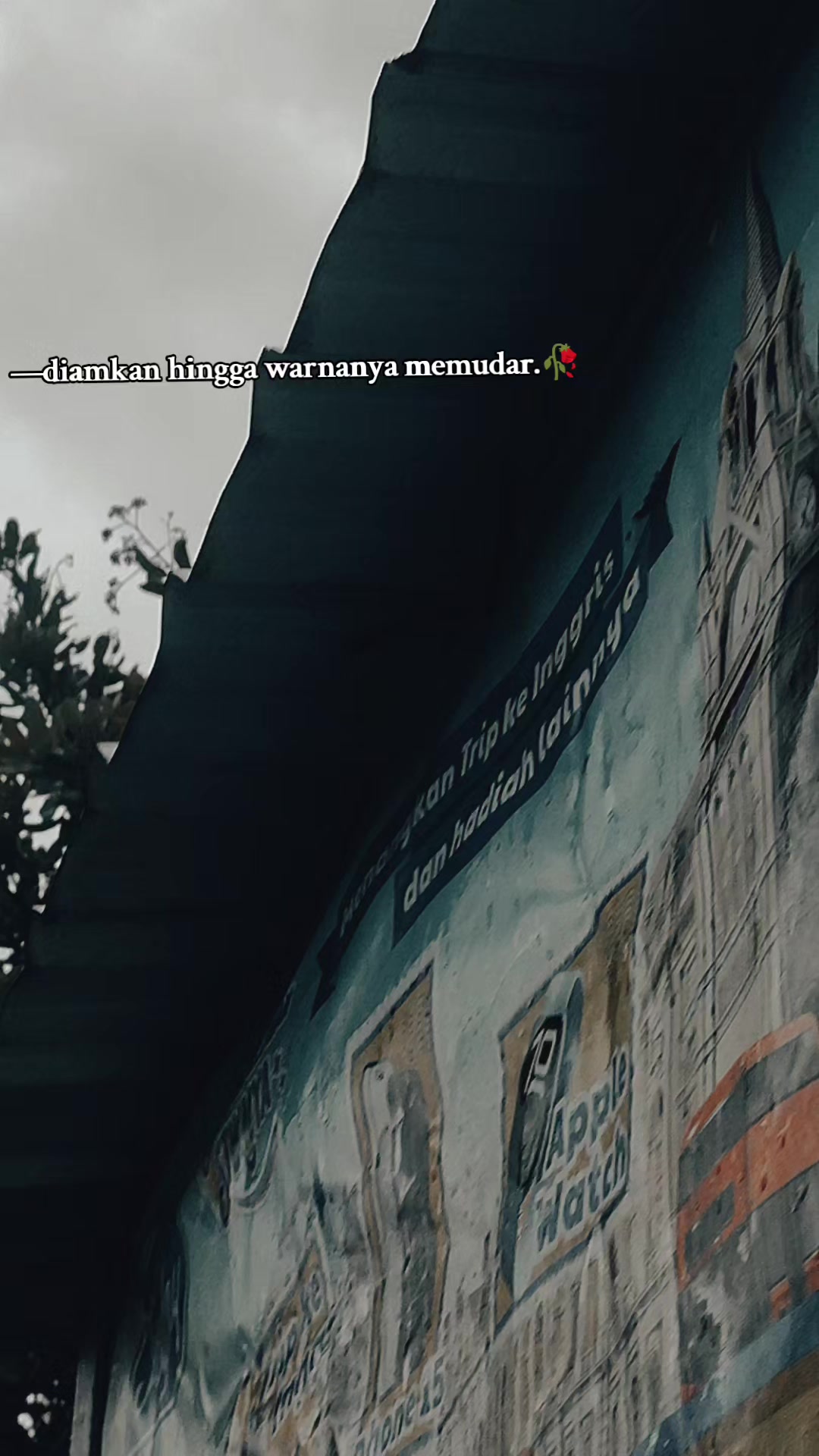 @iya.