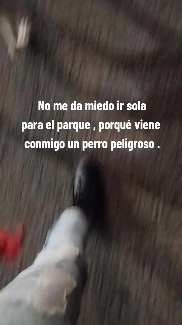@Severus/Sparky 🐶🐶