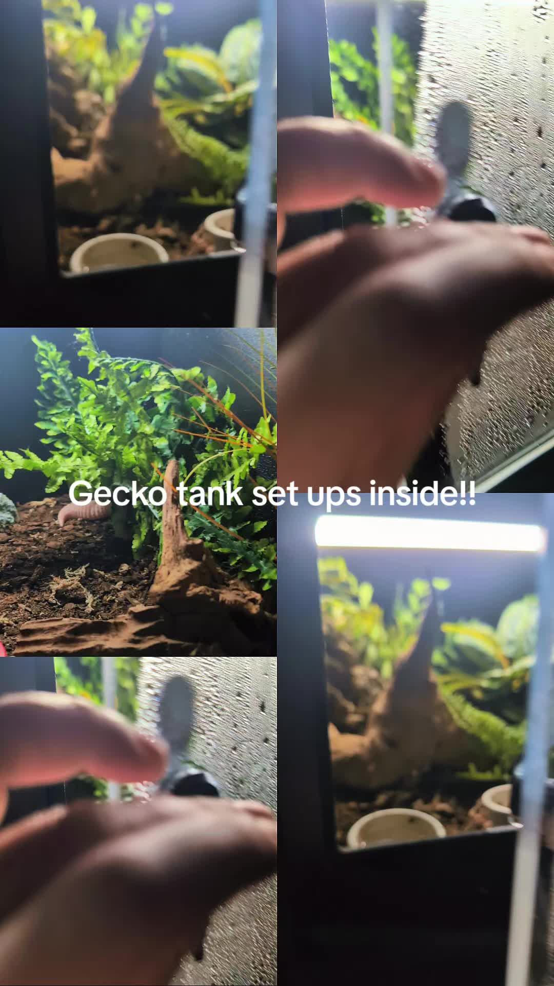 @Odehappy30