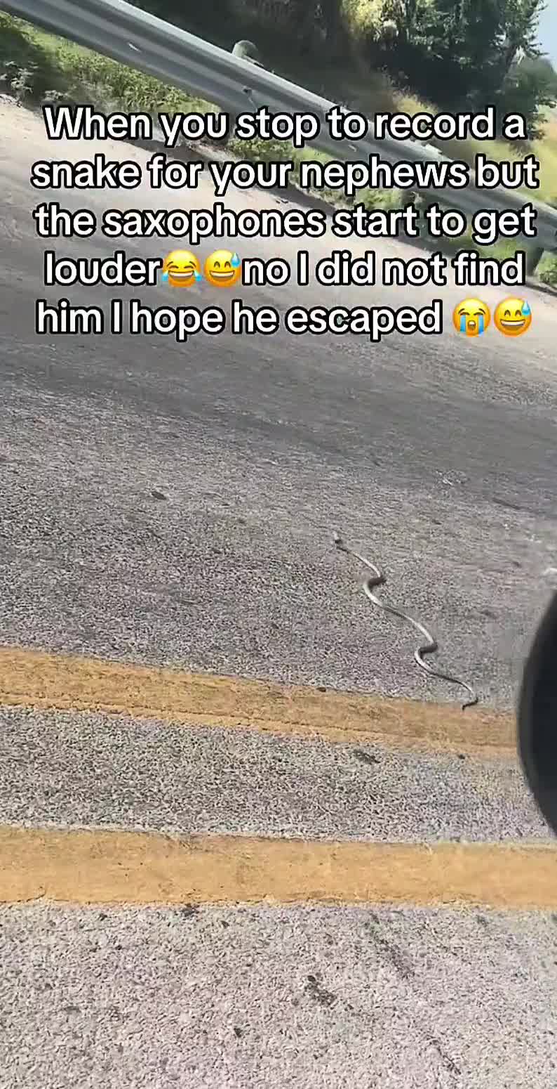 @Wheems