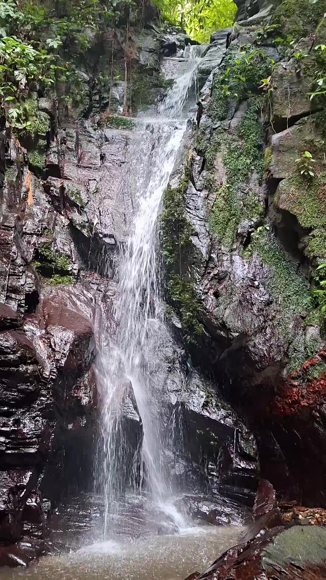 @HikeLife Adventures