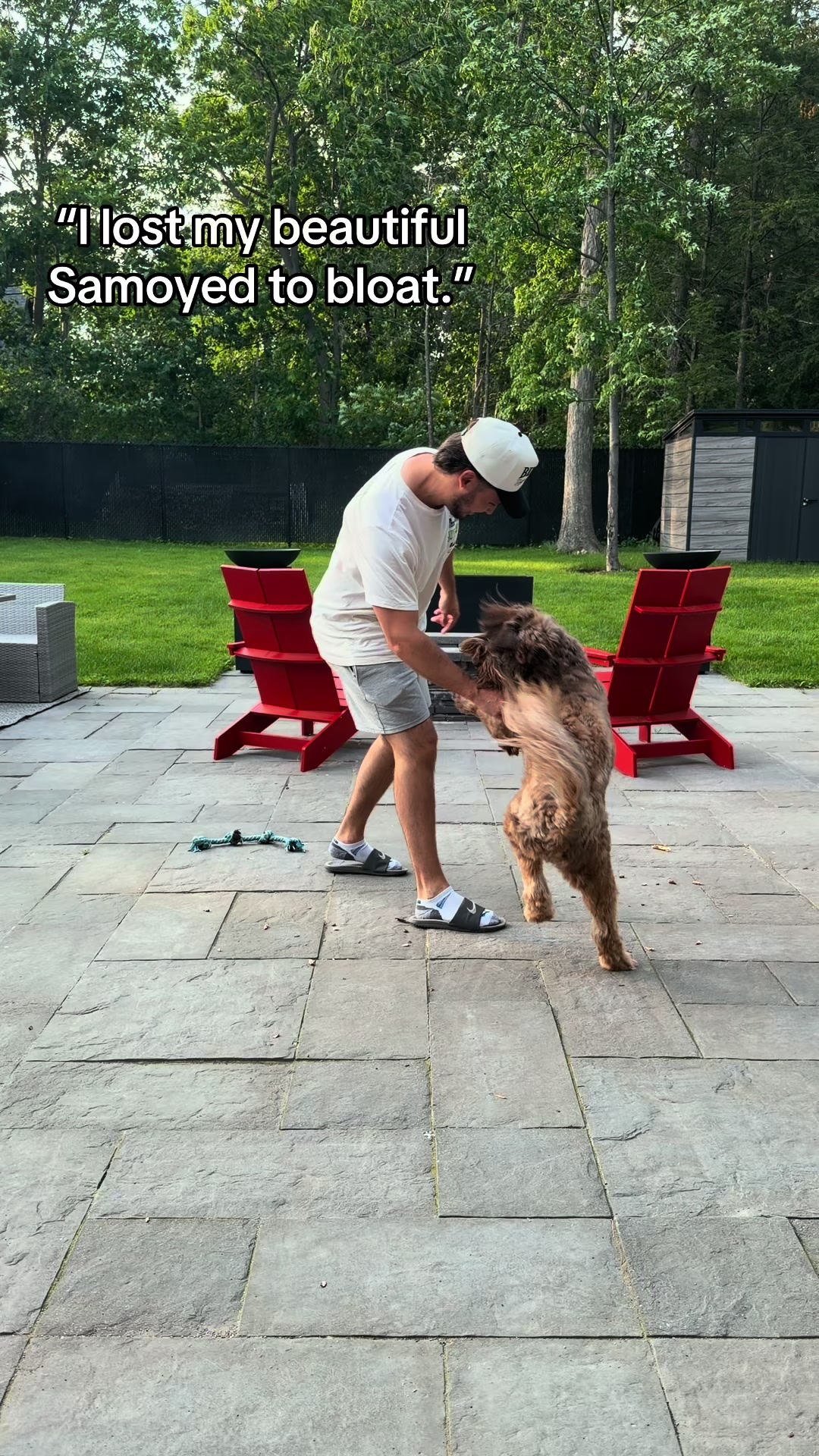 @Dogs Made Simple