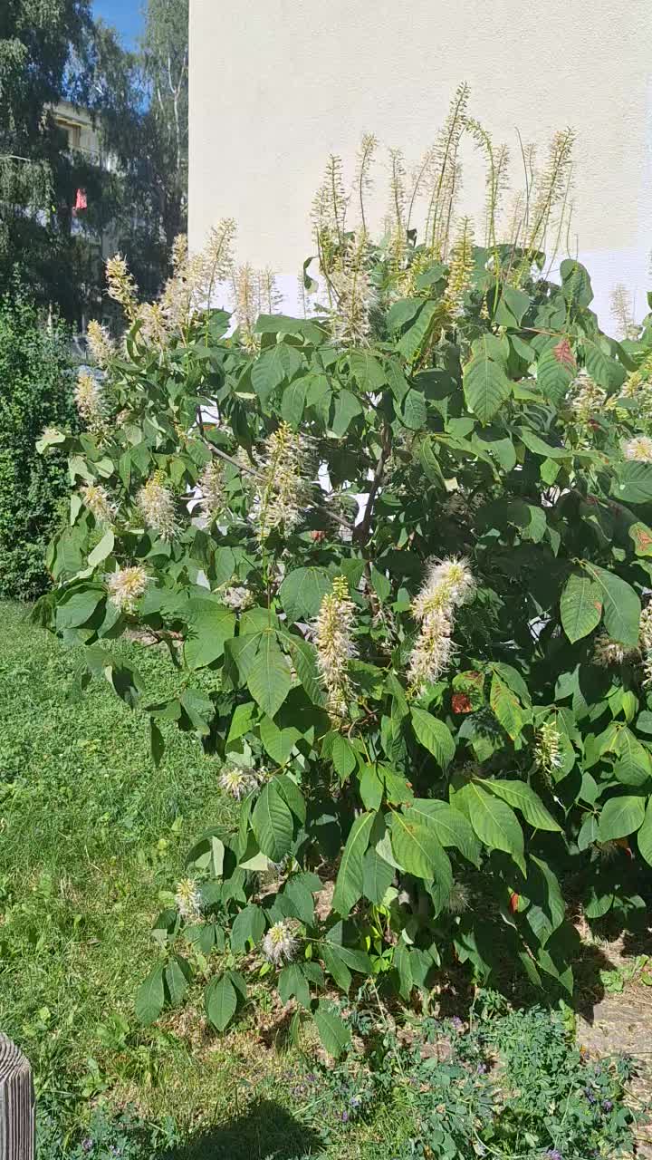 @Natur und Garten