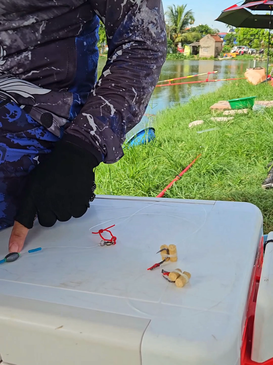 @Dũng Nguyễn Fishing