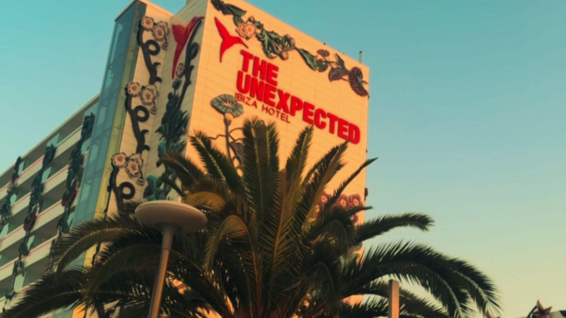 @ibizahq