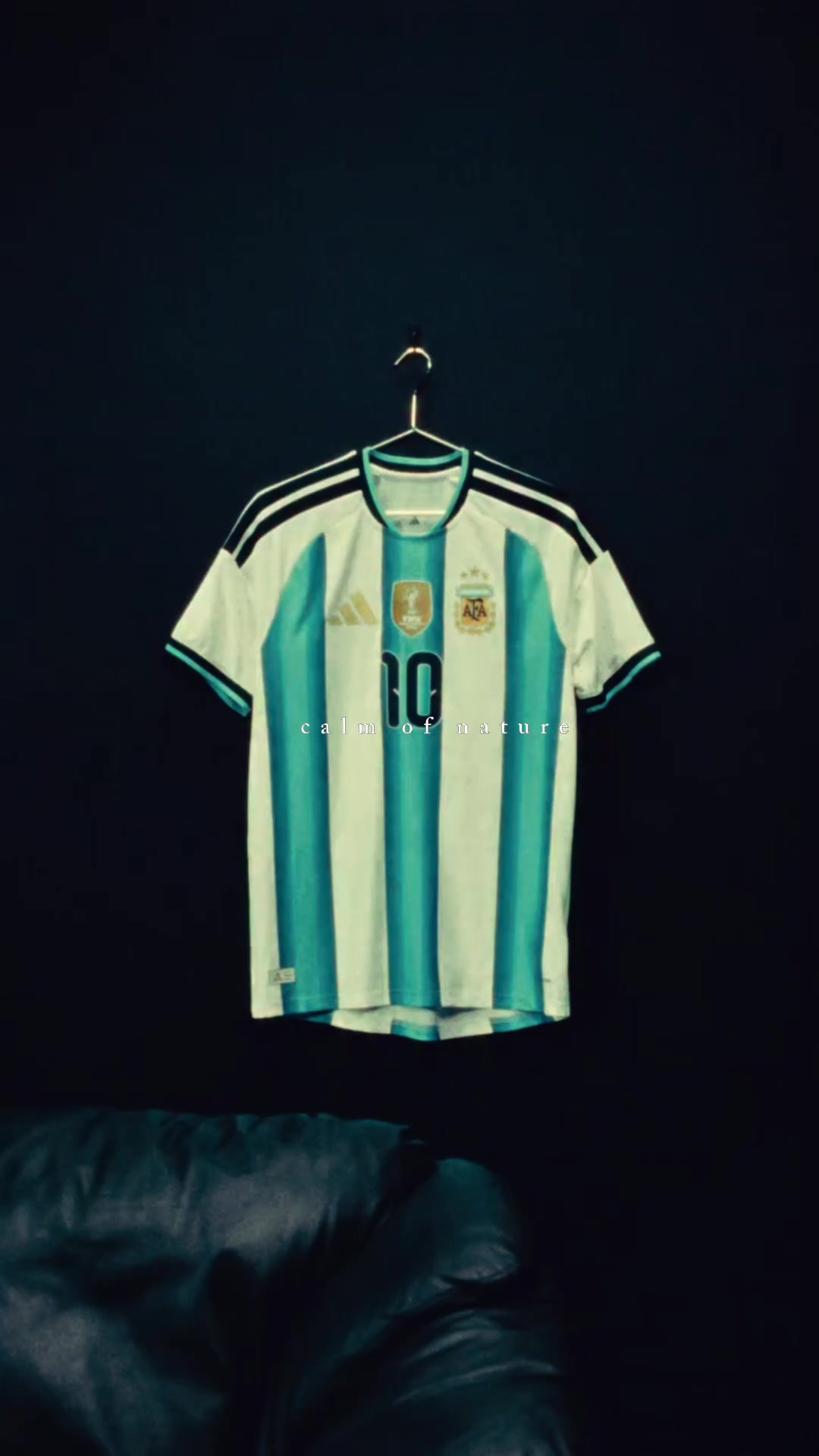 @Argentina's fans