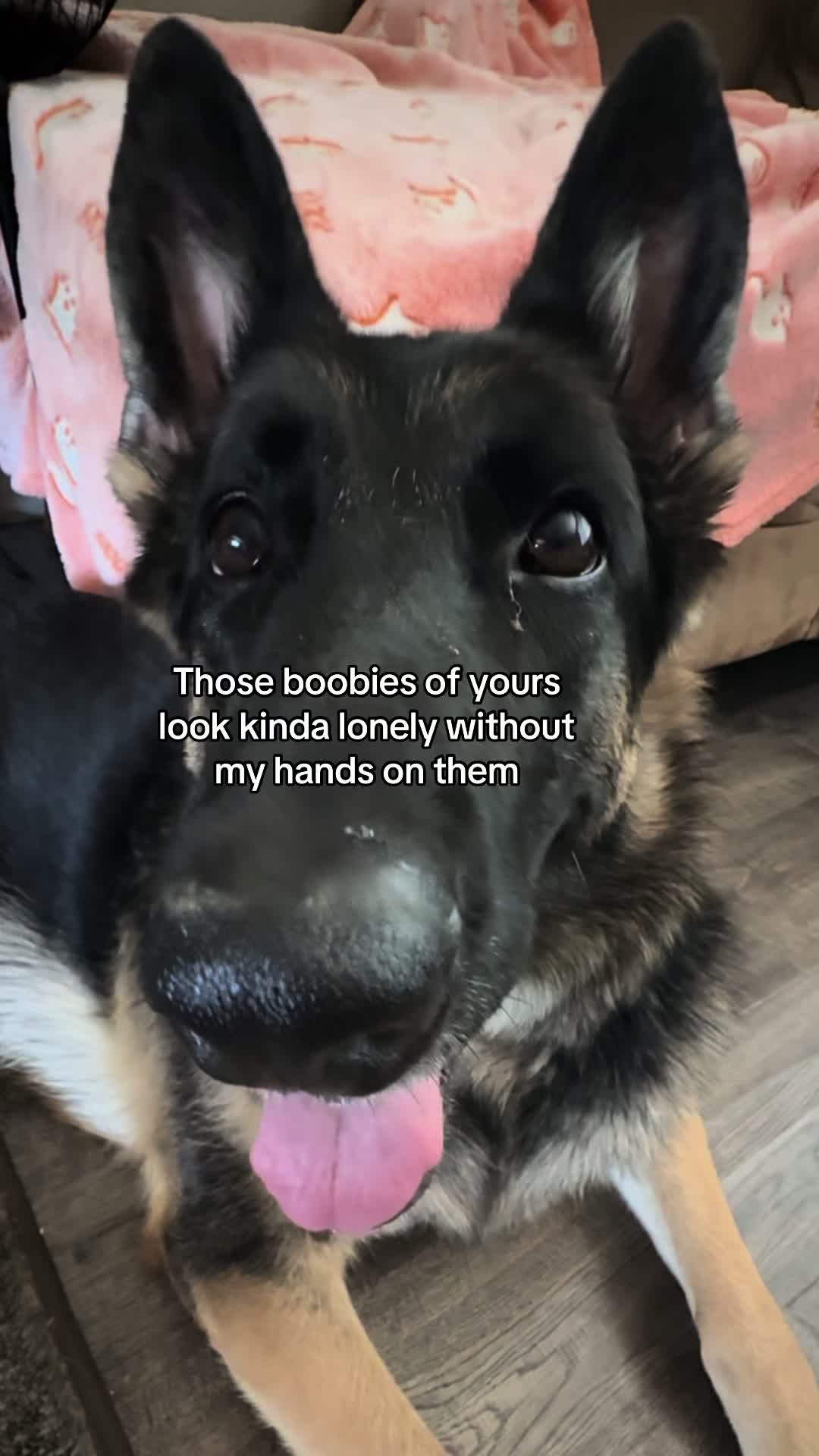 @Bhris