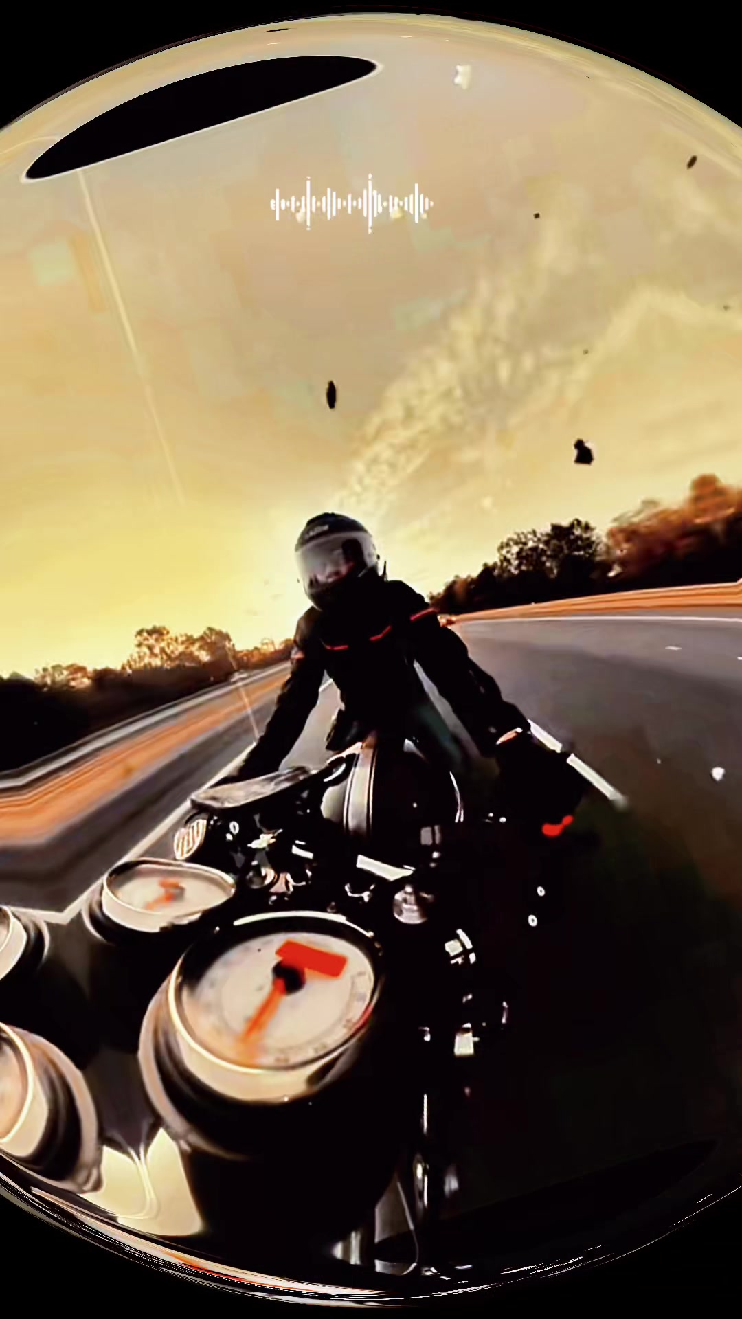 @Dark_Vixen 🏍️