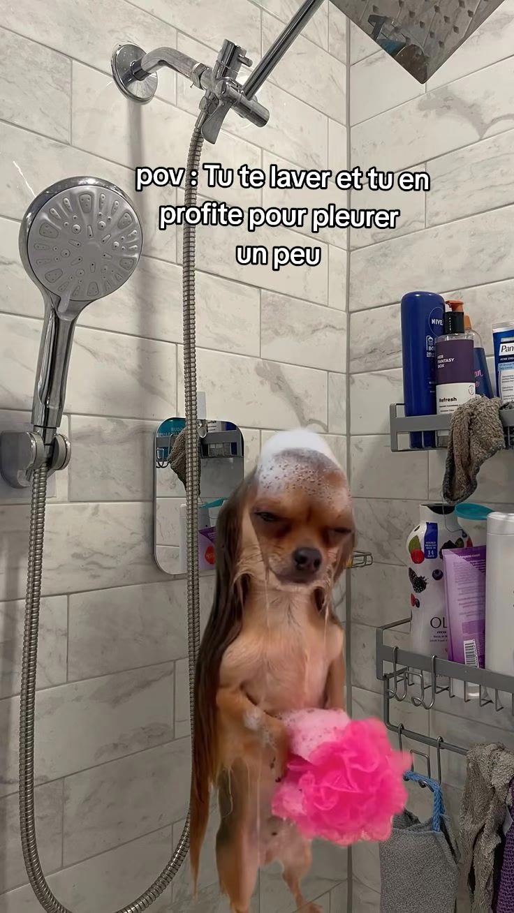 @𝕚𝕟𝕒𝕪𝕒_ 🤍